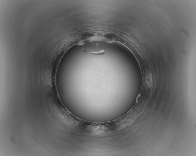 X0000110910512200906181346