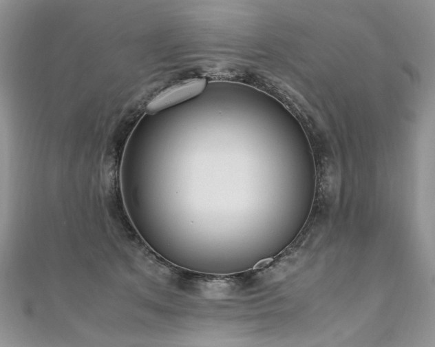 X0000110910513200906181346