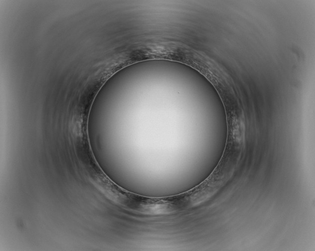 X0000110910514200906181346