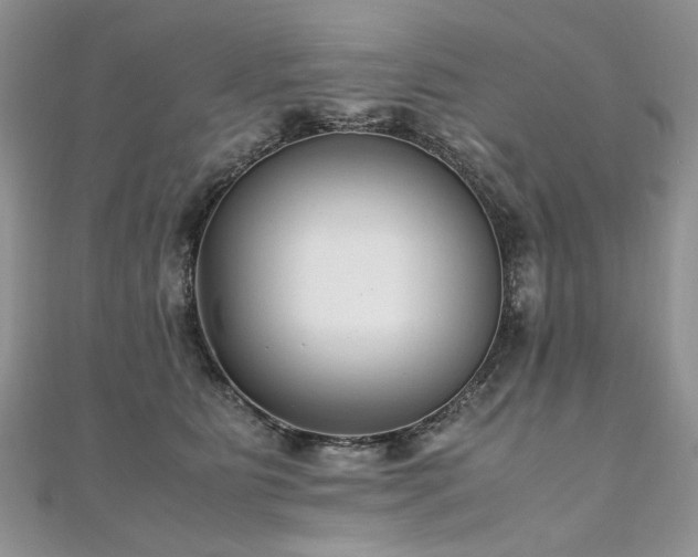 X0000110910515200906181345