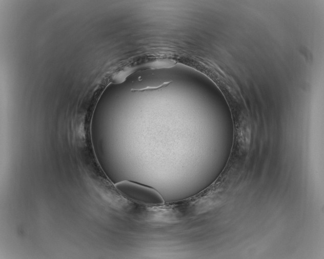 X0000110910516200906181345