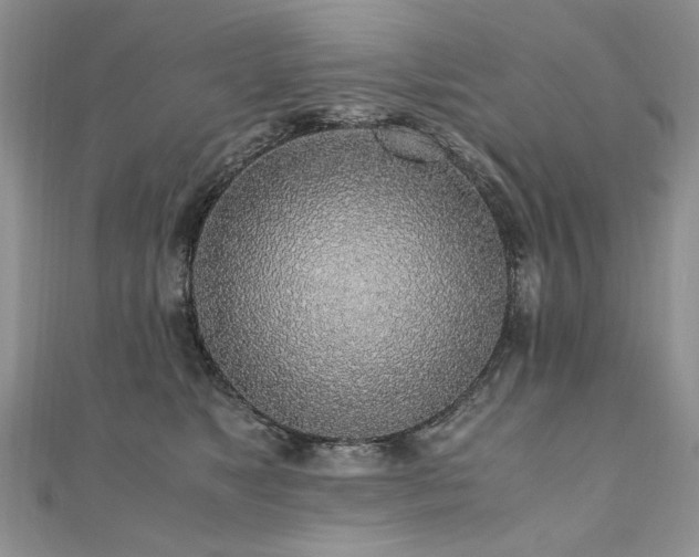 X0000110910517200906181345