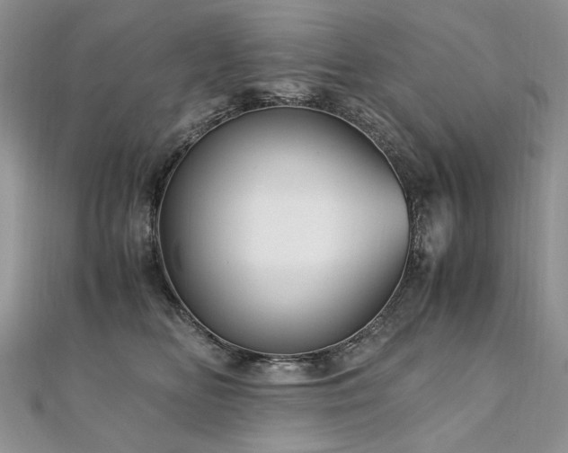 X0000110910518200906181345