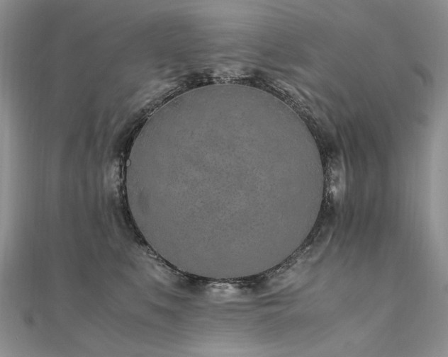 X0000110910519200906181345