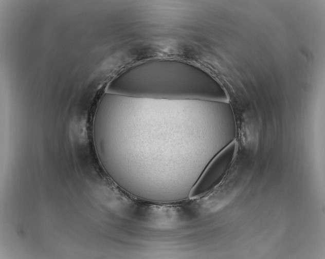 X0000110910520200906181345