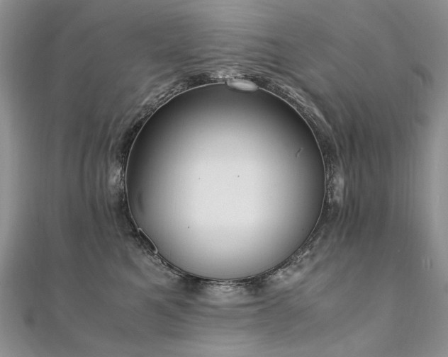 X0000110910521200906181345