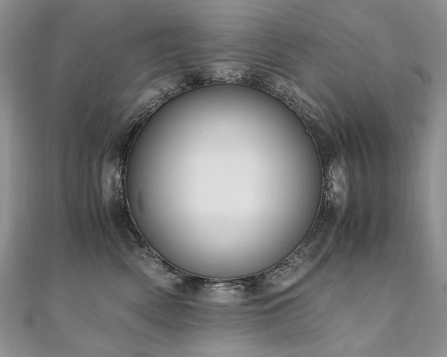 X0000110910522200906181345