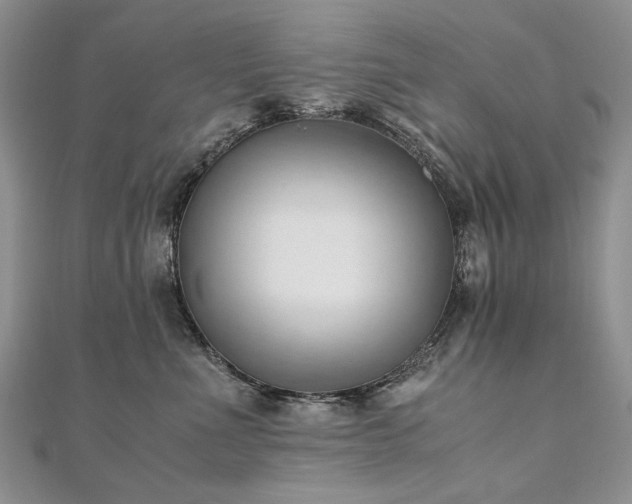 X0000110910523200906181345