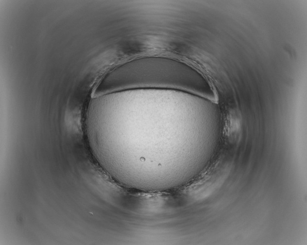 X0000110910524200906181345