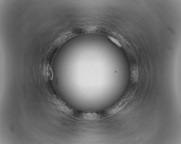 X0000110910525200906181345