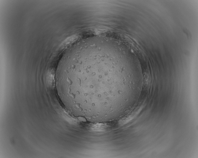 X0000110910527200906181345