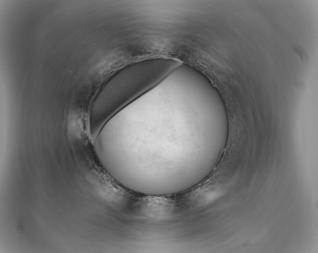 X0000110910528200906181345