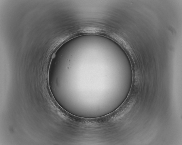 X0000110910529200906181345