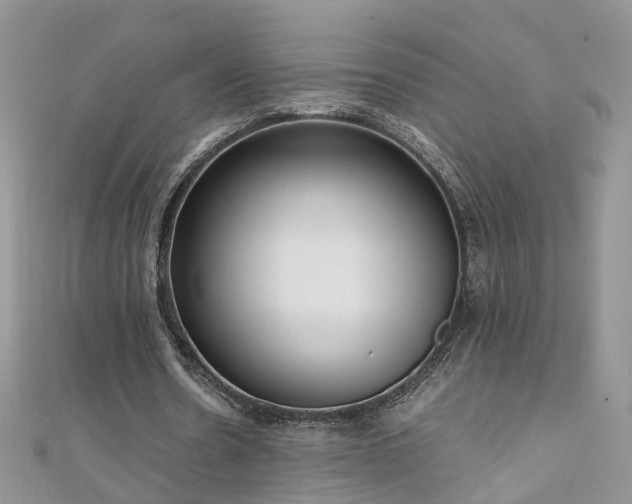 X0000110910530200906181345