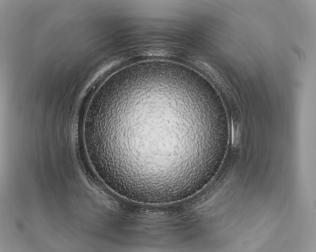 X0000110910531200906181345