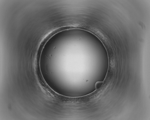 X0000110910532200906181345