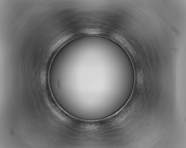 X0000110910533200906181345