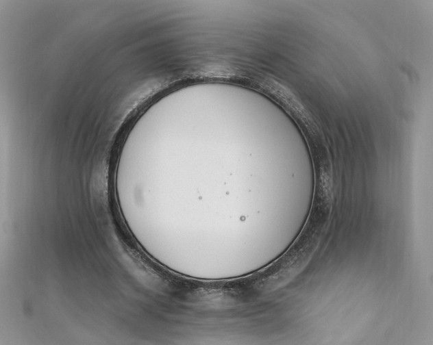 X0000110910534200906181345