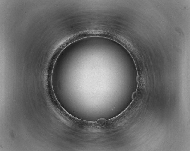 X0000110910535200906181345