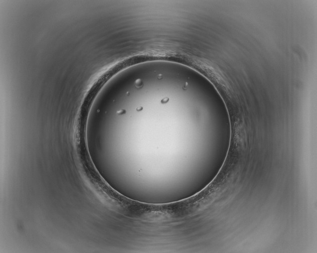 X0000110910536200906181345