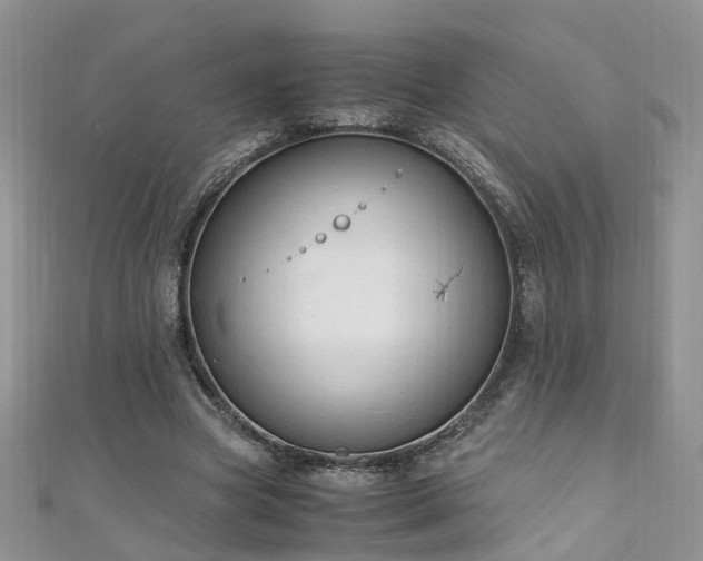 X0000110910537200906181345