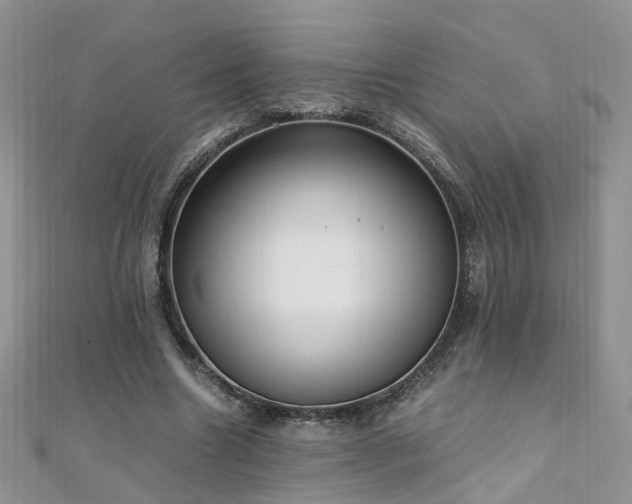 X0000110910538200906181345