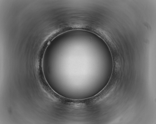 X0000110910539200906181345