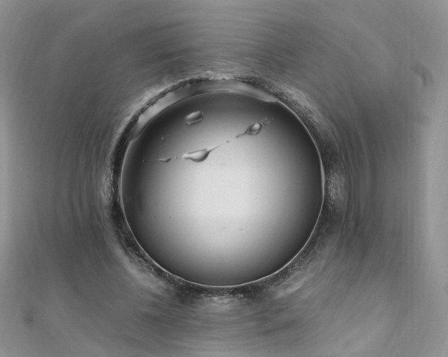 X0000110910540200906181345