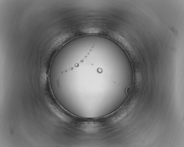 X0000110910541200906181345