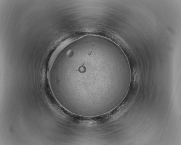 X0000110910542200906181345