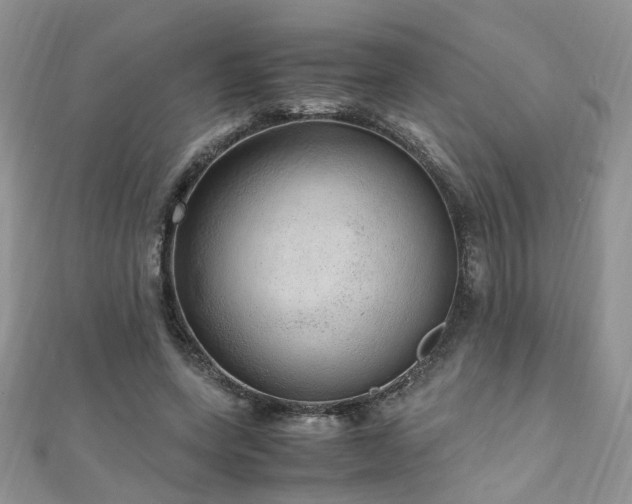 X0000110910543200906181345