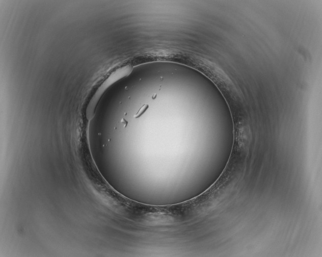 X0000110910544200906181345