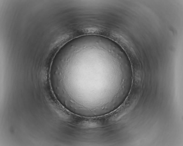 X0000110910545200906181345