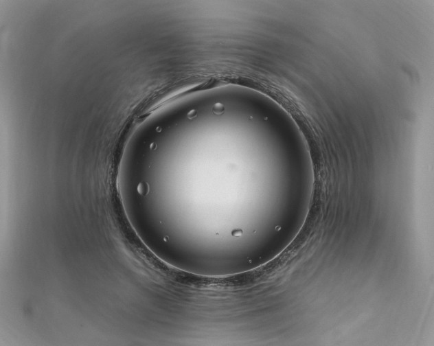 X0000110910546200906181345