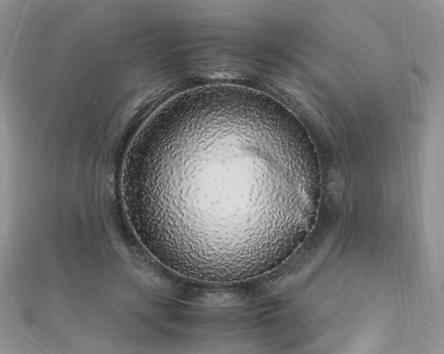 X0000110910547200906181345