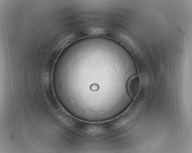 X0000110910549200906181345