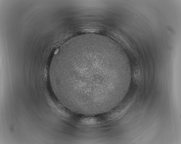 X0000110910551200906181345