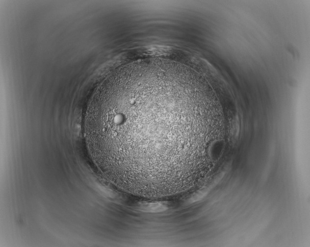 X0000110910553200906181345