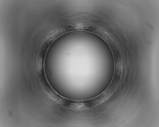 X0000110910554200906181345