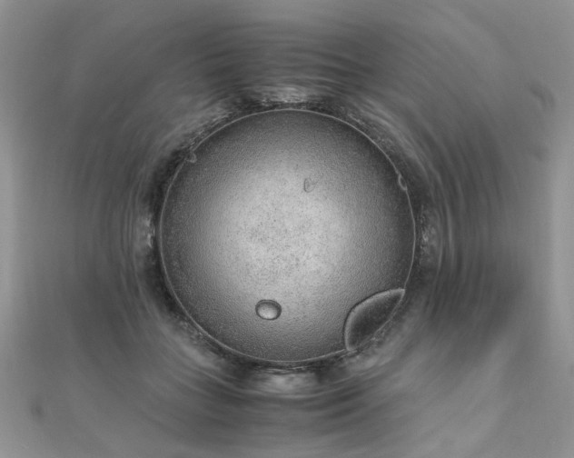 X0000110910555200906181345