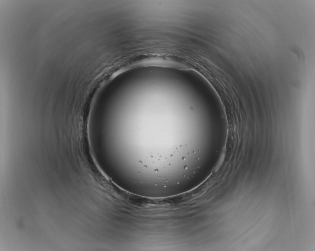 X0000110910556200906181345