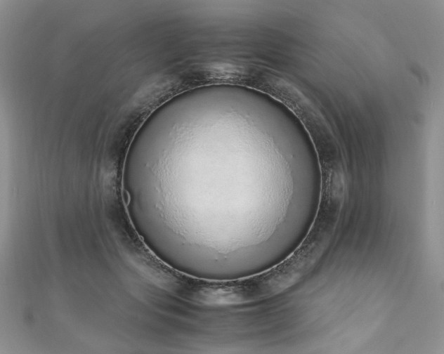 X0000110910557200906181345