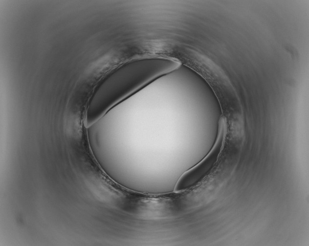 X0000110910558200906181345