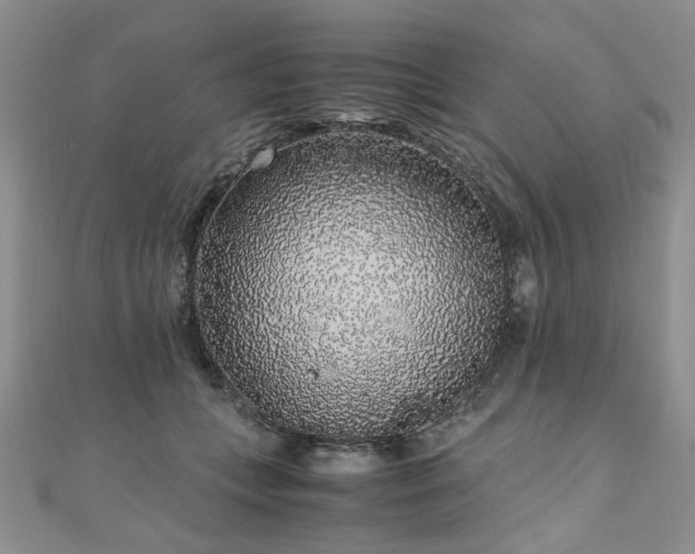 X0000110910559200906181345