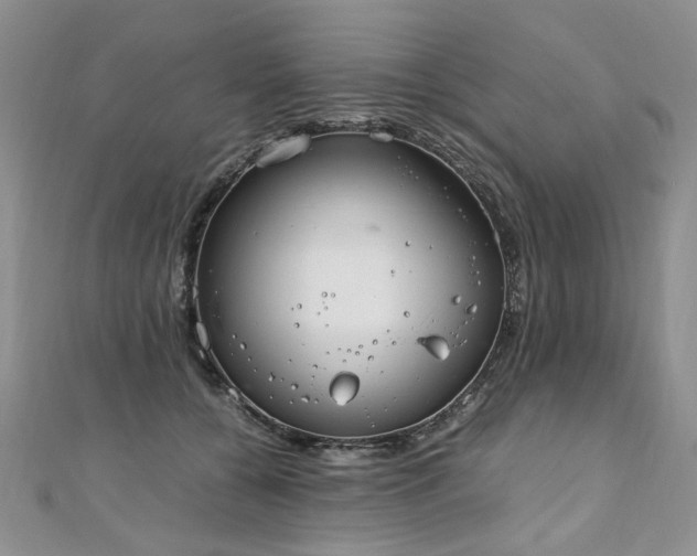 X0000110910560200906181345