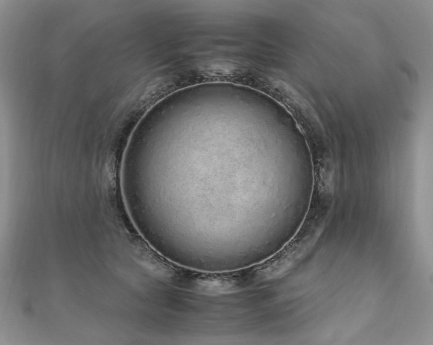 X0000110910561200906181345