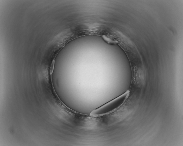 X0000110910562200906181345