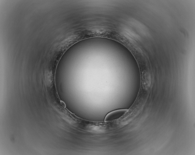 X0000110910563200906181345