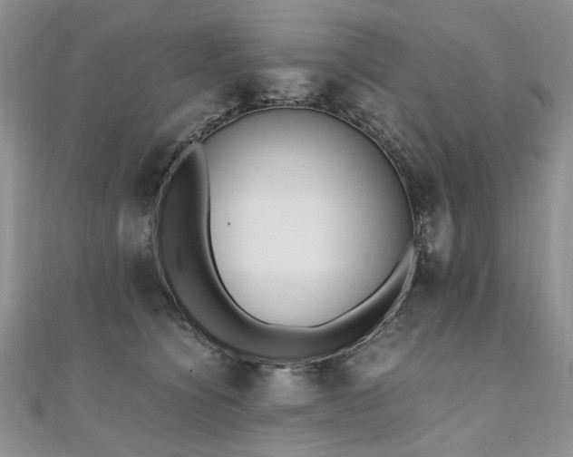 X0000110910564200906181345