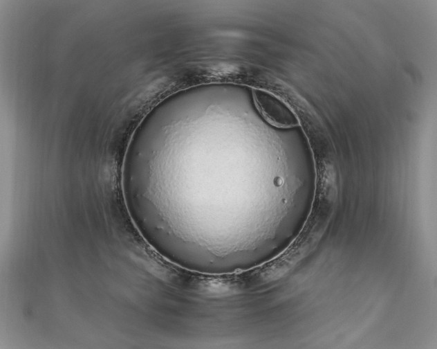 X0000110910565200906181345